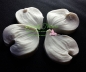 Preview: Dogwood Petal Veiner Set Large By Simply Nature Botanically Correct Products®